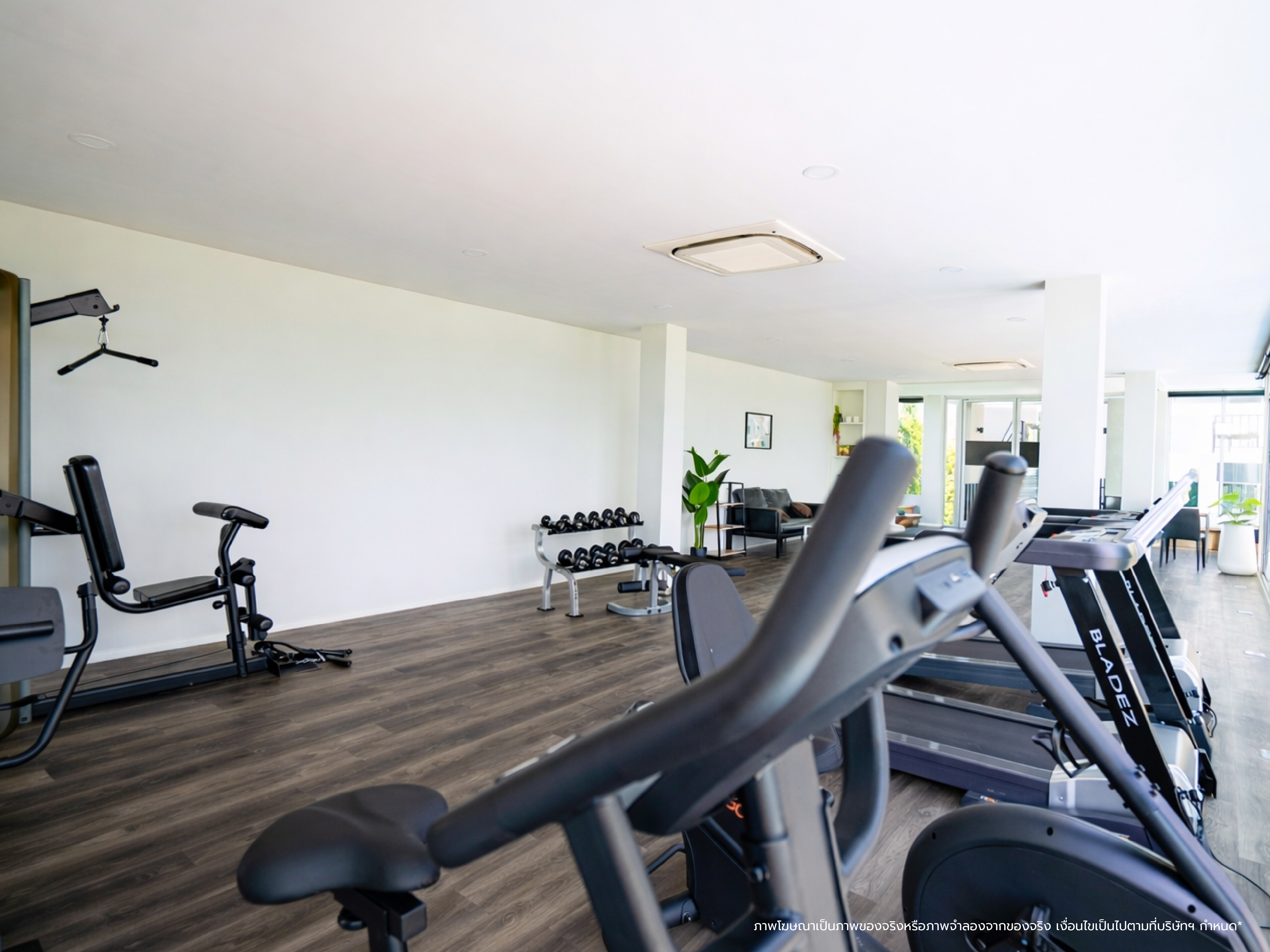 รูปที่ 11